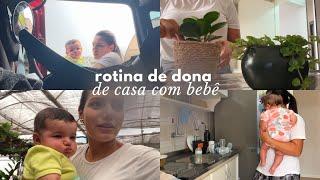 VLOG: rotina fora de casa, comprando plantas 🪴 e DIY de um vaso simples e barato 