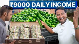 100 दिन में 9 LAKH कमाने का मौकाCucumber Farming | ककड़ी उगाओ, लाखों में कमाओ | Indian Farmer