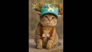 원피스고양이,#유머 #쇼츠 #웃기는 #짤 #웃긴이야기 #웃긴실화 #레전드일화