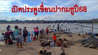 เปิดประตูเขื่อนปากมูล8ประตูปี68 พี่น้องหรั่งมาทั่วแดนปีนีคนหลายกว่าทุกปี เฝ้านอนคืนหาปลากิน