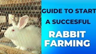 Beginners Guide To Starting A Successful Commercial Rabbit Farm