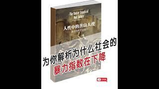 《人性中的善良天使The Better Angels of Our Nature: Why Violence Has Declined》斯蒂芬·平克（Steven Pinker）