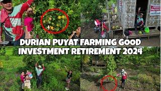 DURIAN PUYAT FARMING MAGANDANG RETIREMENT INVESTMENT.