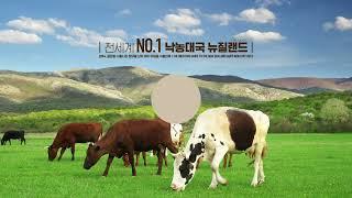 대상 마이밀 프로틴 블랙 인포
