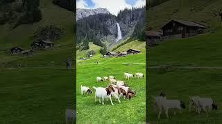 The beautiful place I ever seen. #travel #trip #shorts #switzerland #healingjourney