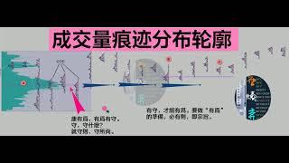 【成交量痕迹分布轮廓】之 有为有守