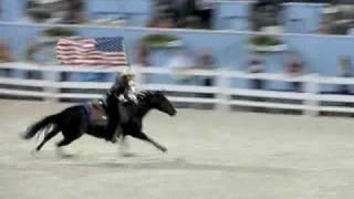 Stacy Westfall Bridleless at Devon 2010