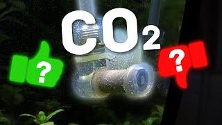 Is CO2 Essential for Thriving Aquarium Plants?