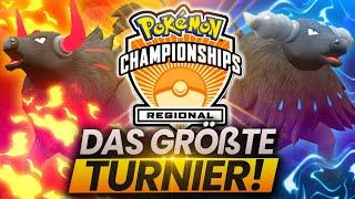 SO hat PALDEA-TAUROS das GRÖßTE Pokemon-Turnier dominiert!