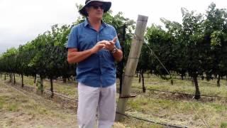 Vino del Sol #18: Cool Mendoza & Chile Winery/Vineyard Visit Montage by Jon Hembree
