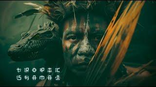 Tropic Shaman: Tribal Ambient Shamanic Drum Journey : Meditation Music