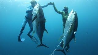 Панамские Будни #2. Первая Охота. Panamanian Weekdays. First Spearfishing.