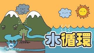 水循環