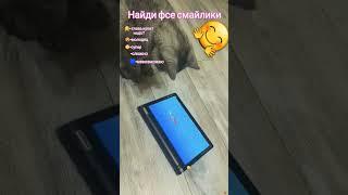 млй котик #смайл #пон #котик #искать