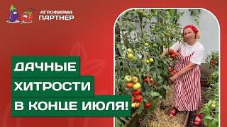 УРОЖАЙ В КОНЦЕ ИЮЛЯ: РЕЗУЛЬТАТЫ И ПРАКТИЧЕСКИЕ СОВЕТЫ ОТ МАРИНЫ РЫКАЛИНОЙ