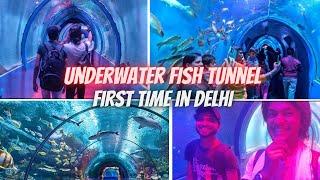 Underwater Fish Tunnel First Time In Delhi | Fish Aquarium | TourPur Vlogs | Delhi