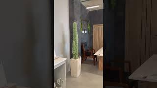 Столешницы из камня в студии камня cactus #shorts