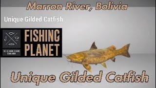 Unique Gilded Catfish - Marron River, Bolivia - Fishing Planet Guide