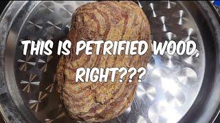 This is Petrified Wood, Right??? - Cutting Rocks