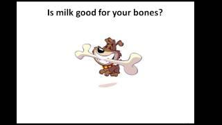 Is milk good for my bones?