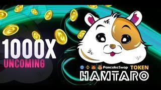 How to BUY HamtaroCrypto | Everything YOU NEED To Know about HamtaroCrypto