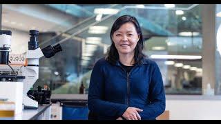 Scientist Stories: Hongkui Zeng, Understanding Brain Cell Type Diversity