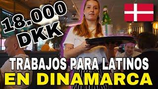 Dinamarca te NECESITA  Estos son Los Trabajos en Dinamarca  que Hacen los LATINOS | Top 5