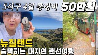 힘든 이민생활 ‘한푼두푼 모아’ 삼남매 학교 째고 떠나는북섬 최고 휴양지 코로만델가족힐링브이로그