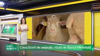 Crescătorii de animale, vizați de Banca Mondială 09 05 2024