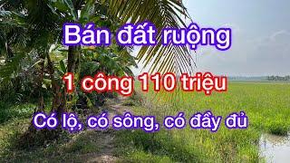 MS139-Bán đất ruộng giá chỉ 110 triệu 1 công | Chợ tốt Sóc Trăng