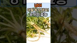냉이의 효능 8가지, 알고 드세요! #건강정보 #다이어트  #건강식 #나물효능  #건강