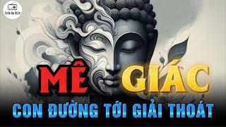 Mê và Giác - Con đường dẫn tới sự GIẢI THOÁT trong NHÀ PHẬT