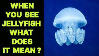 WHEN YOU SEE A JELLYFISH WHAT DOES IT MEAN ?