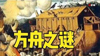 《世界公虾米》诺亚方舟之谜