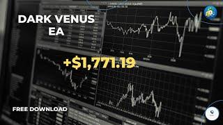 Best Settings for Dark Venus EA mt4 - Gold Trading Strategy