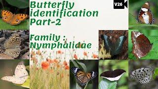 Butterfly identification Part 2 | Family Nymphalidae | Key identification features