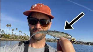 Easy Fishing: Mission Bay non stop action.