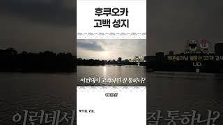 해외여행 중 공개고백