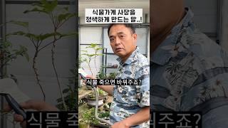 식물가게 운영하면 듣는 황당한 말 6가지 "긁힌다 긁혀.."