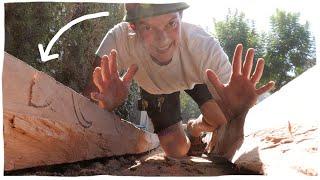 Trashpicking in LA - I found a GIANT slab of wood!!!