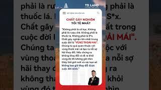 Chất gây nghiện tồi tệ nhất.  #tuandat #batdongsandongtien #dongluc #kyluat #truyencamhung  #dautu