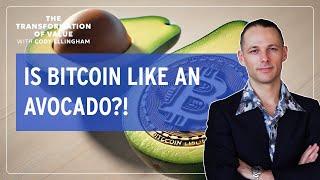 Is Bitcoin Like An Avocado? With Cody Ellingham