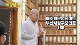 백양암 소개