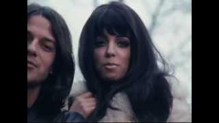 in colour Mighty Joe Shocking Blue Mariska Veres