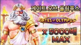 [프라그마틱 슬롯] ⭐️게이트 오브 올림푸스⭐️🩷맥스 X5000배 🩷#슬롯 #실시간 #잭팟