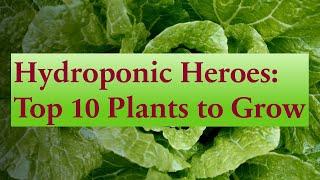 10 Best Plants to Grow in Aerogarden | Hydroponics | Tips | Germination | Nutrients