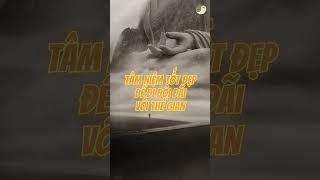 Đẹp Ở Tuổi Trung Niên: Bí Quyết Từ Tâm Hồn Đến Ngoại Hình | Boundless Buddhist Essence #loiphatday