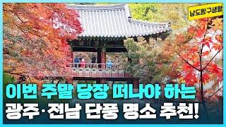 짧은 가을 끝나기 전에 알록달록한 단풍 만끽하자구요  | 광주 전남 단풍 명소 추천