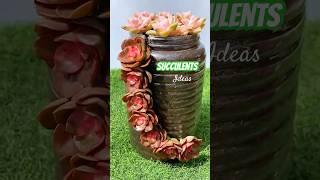 Succulent Arrangement Inspiration: Beautiful Plants to Design Your Dream Garden