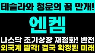 [엔켐 주가 전망] 테슬라와 청운의 꿈 만개! 나스닥 조기상장 재점화! 반전! 외국계 발각! 결국 확정된 미래인정! 주주님들 정말 중요합니다!!